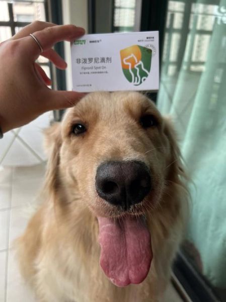 超可信(为什么网上也能买到)