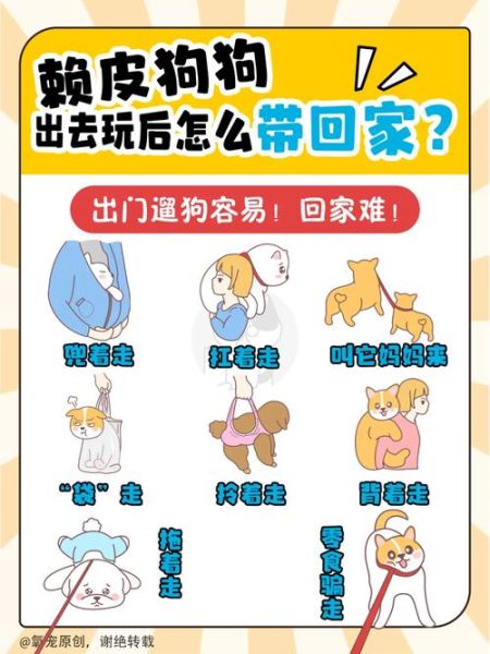 跟狗玩最后拽不出来(怎么才能顺利回家)