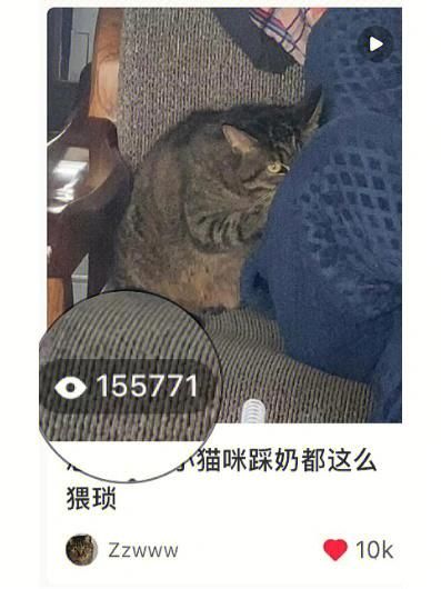 踩奶是什么意思(难道是把我当猫妈妈了)