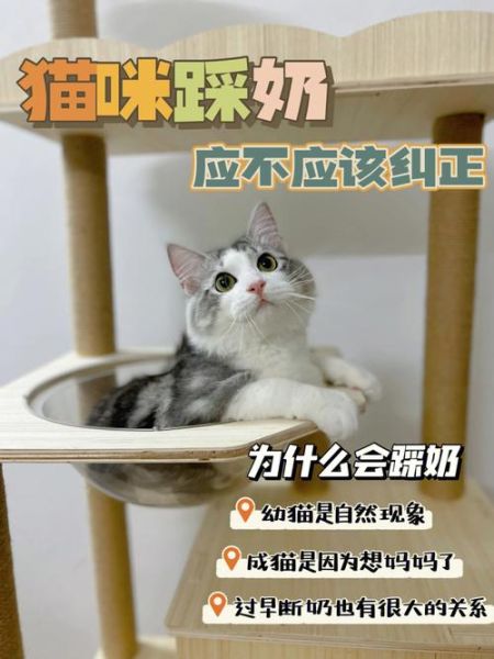踩奶是什么意思(难道是把我当猫妈妈了)