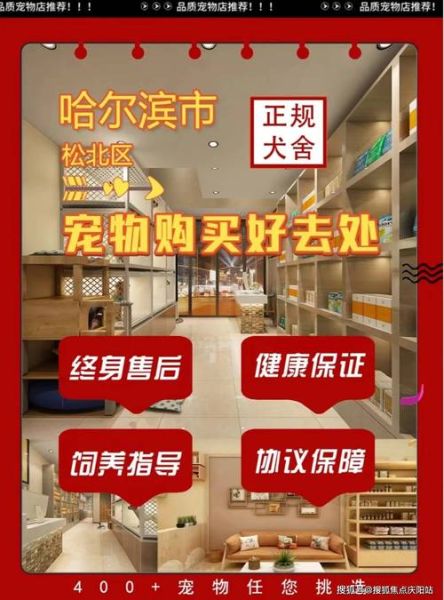边境牧羊犬多钱(多少钱能买到)