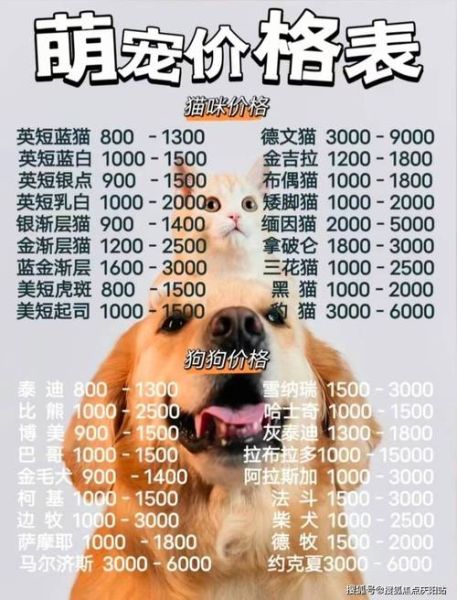 边牧犬多少钱一只(什么样品质最好)