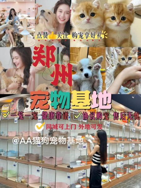 郑州宠物(怎么才能找到最适合自己的那只)