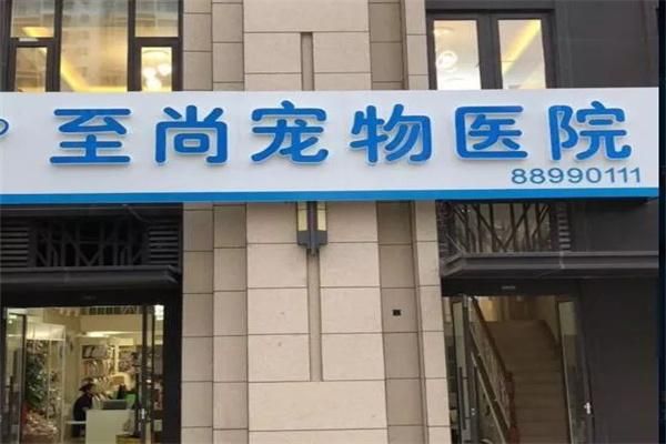 郑州宠物医院(郑州哪些宠物医院值得信赖)
