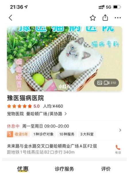 郑州宠物医院(郑州哪些宠物医院值得信赖)