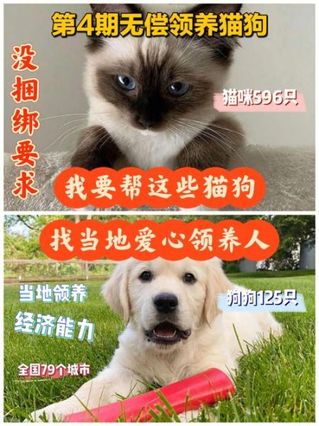 郑州宠物网(想领养宠物就来这里)