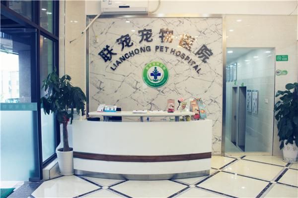 重庆友好动物医院(宠物生病了该去哪里看)