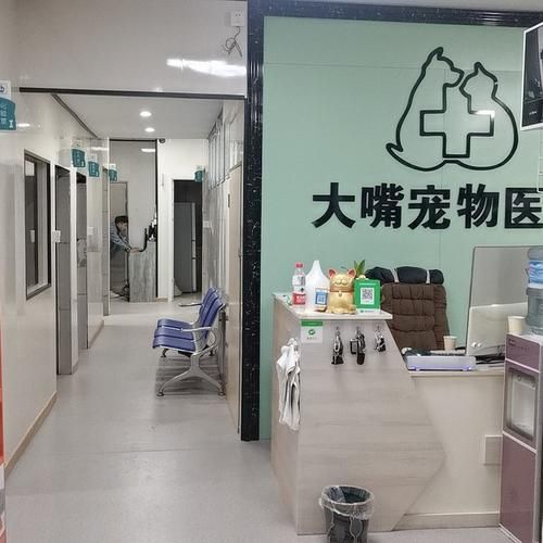 重庆友好宠物医院(重庆友好宠物医院怎么样)
