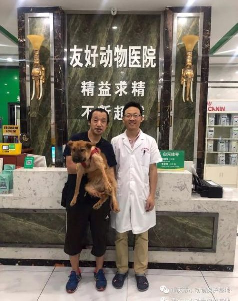 重庆友好宠物医院(重庆友好宠物医院怎么样)
