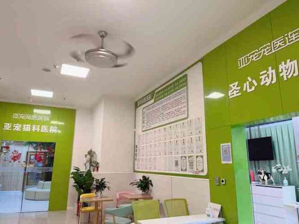 重庆圣心宠物医院(听说挺不错的)