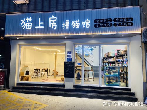 重庆宠物店(哪家宠物店性价比高)