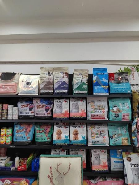 重庆宠物店(哪家宠物店性价比高)