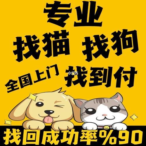 重庆宠物群(怎么才能找到靠谱的群)