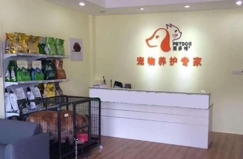 重庆派多格宠物学校(重庆派多格宠物学校教你解决)