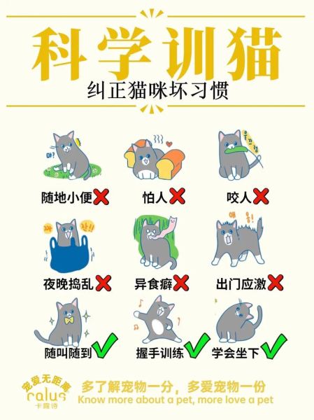 野猫驯养法(怎么才能让它变得温顺)