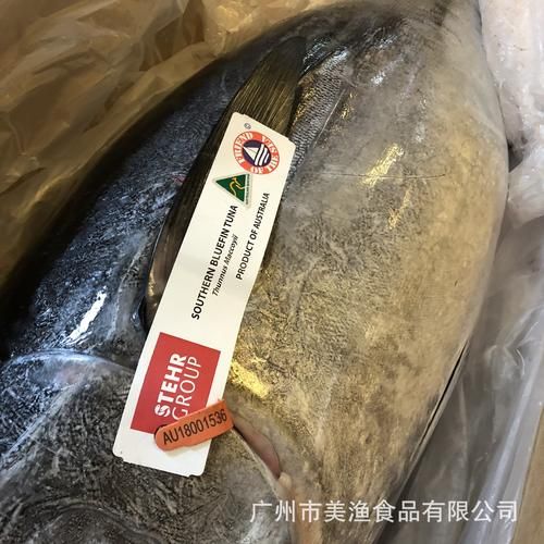 金枪鱼价格(一千万一条真的假的)