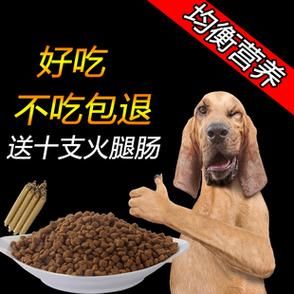 金毛寻回犬多少钱一只(到底多少钱一只)