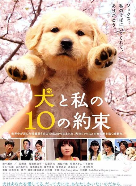 金毛犬电影(还有什么值得一看)
