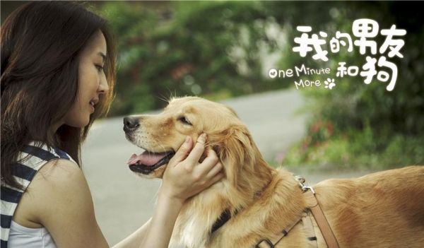 金毛犬电影(还有什么值得一看)