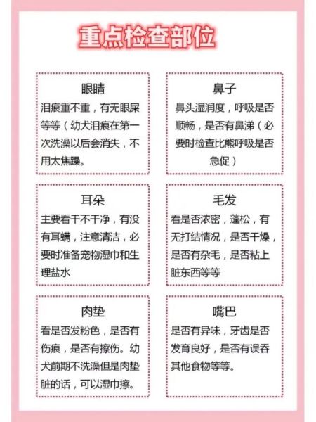 金毛狗图片(你了解它的优点吗)