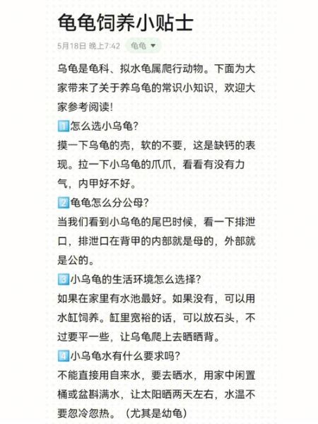 金钱龟怎么养( 怎么才能让它生小龟)