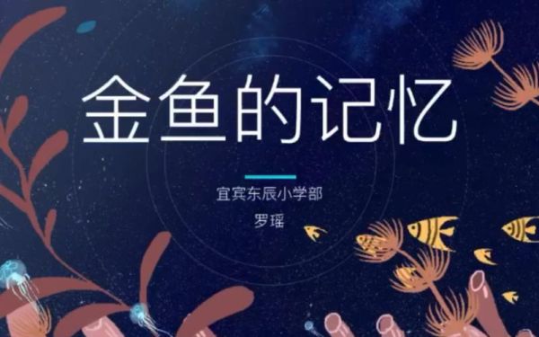 金鱼的记忆真的只有7秒吗(它们的记忆力有多强)