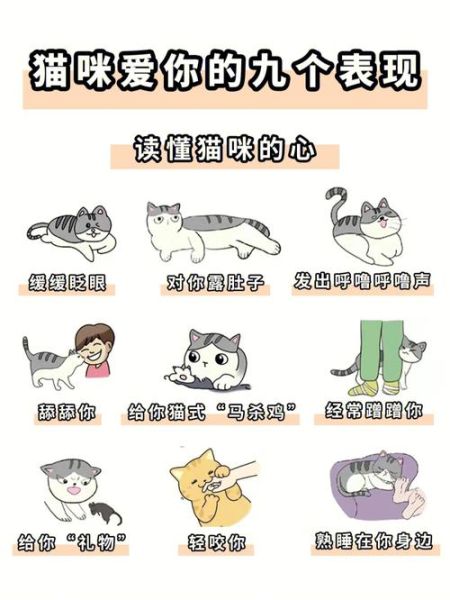 铲屎官是什么意思( 铲屎官只是爱宠物的人吗)