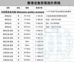 银龙鱼价格( 鱼的大小对价格影响真的这么大吗)