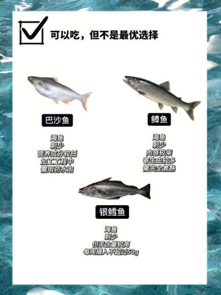 银龙鱼怎么养( 喂食要注意什么)