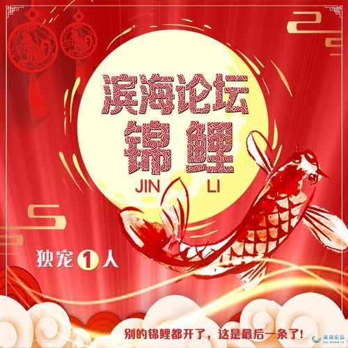 锦鲤论坛(怎样才能找到)