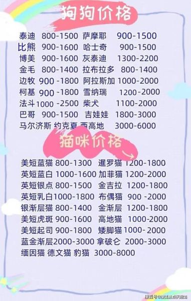 长不大的宠物狗价格(怎么才能买到合适的)