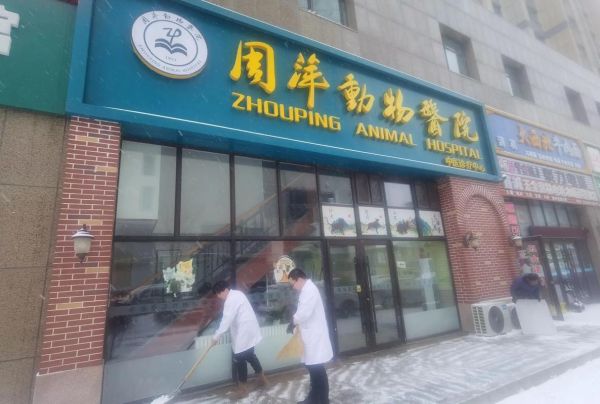 长春宠物医院(长春哪家宠物医院比较好)