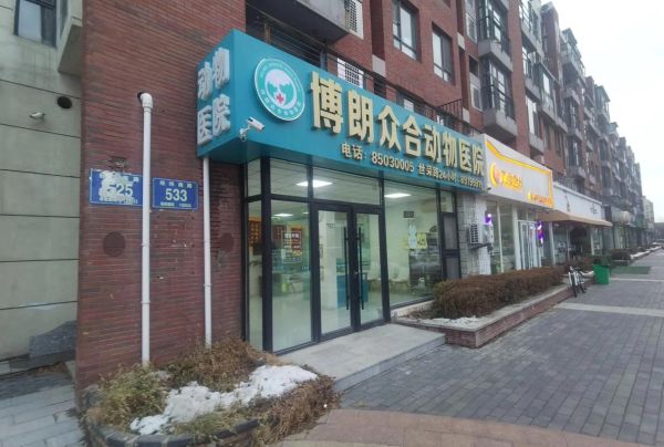长春宠物医院(长春哪家宠物医院比较好)