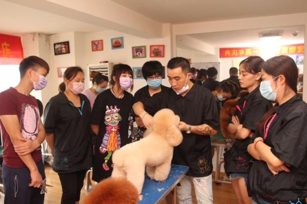 长春宠物美容学校(看教学环境还是看师资力量)