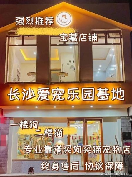 长沙宠物市场(哪家最适合你)
