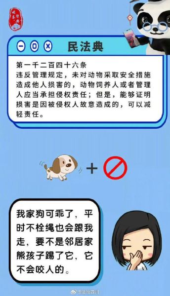 长沙金毛( 没人牵绳怎么办)
