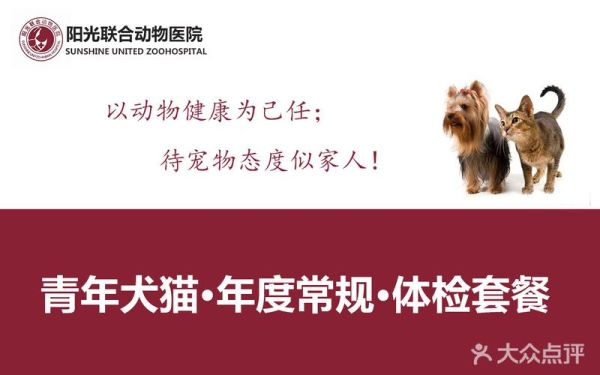 阳光动物医院(薪资待遇丰厚吗)