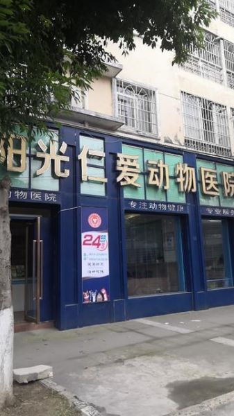 阳光宠物医院(阳光宠物医院靠谱吗)