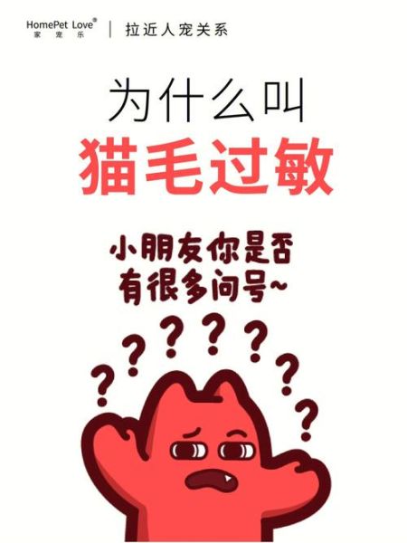 阿瑟拉猫(真的可以跟猫毛过敏说拜拜吗)