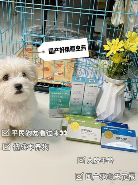 雷米高宠物美容学校(毕业后好找工作吗)