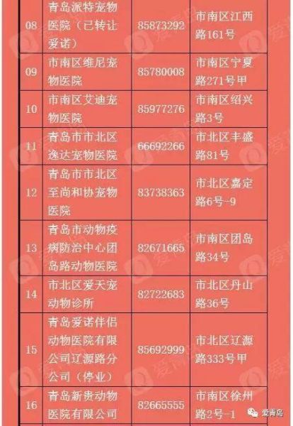 青岛宠物网(该怎么选择医院)