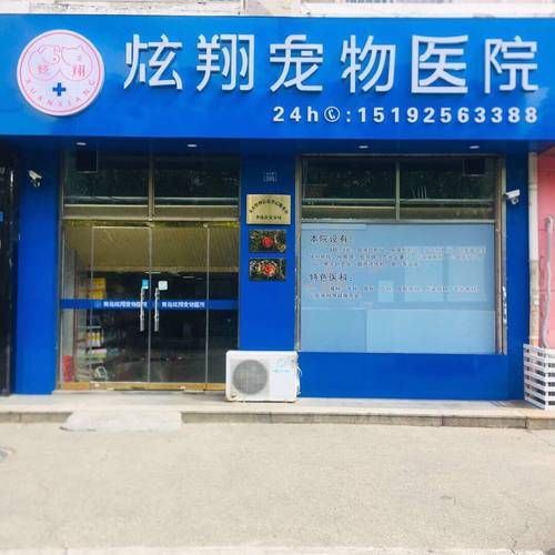 青岛宠物网(该怎么选择医院)