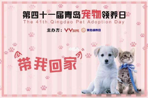 青岛宠物论坛(青岛宠物论坛哪个板块最专业)