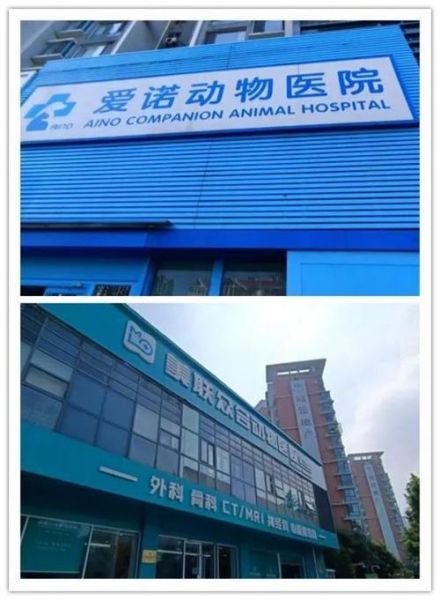 青岛开发区宠物医院(青岛开发区哪家宠物医院服务好)