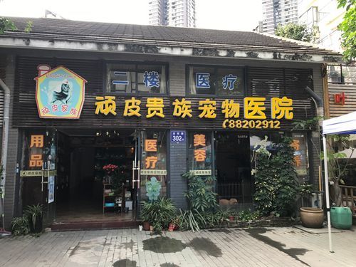 顽皮动物医院(医生技术怎么样)