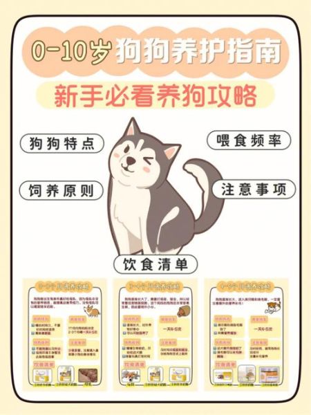 领养狗(如何让狗狗快速适应新家)