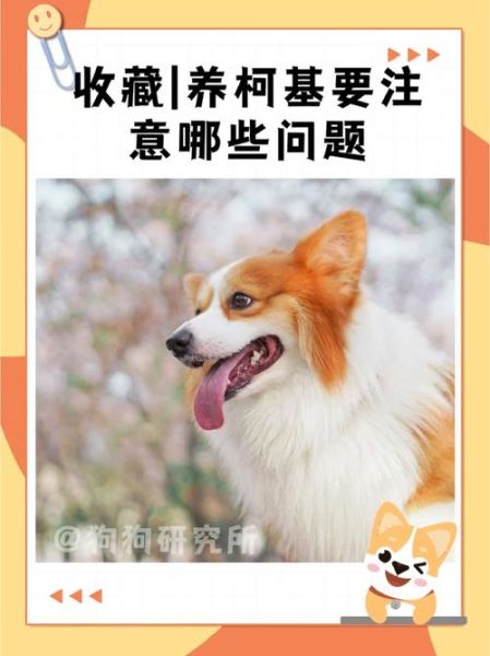 饲养动物(有哪些要注意)