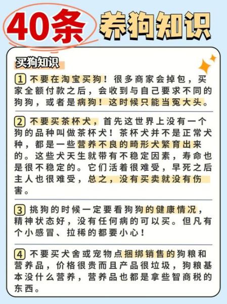 饲养宠物(养宠物到底有什么好处呢)