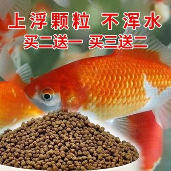 饲料鱼( 比一般的鱼还差劲)