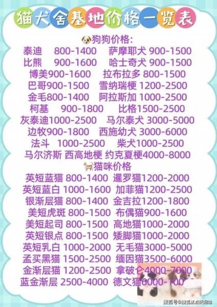 马尔济斯犬多少钱(哪个价格更合理)